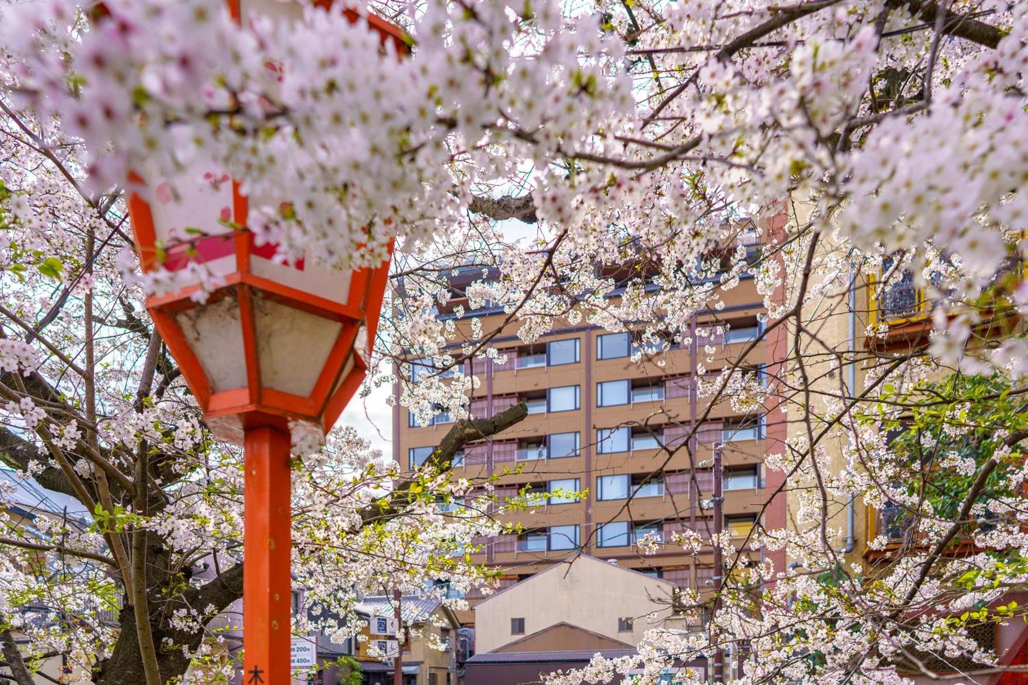 Sora Niwa Terrace Kyoto Ξενοδοχείο Εξωτερικό φωτογραφία